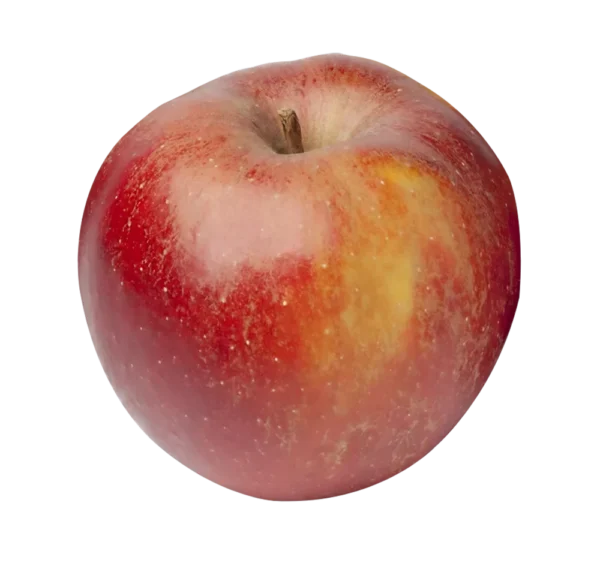 Äpfel Boskop