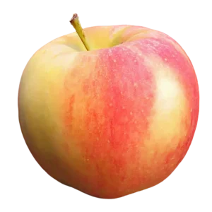 Äpfel Elstar