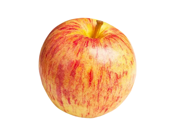 Äpfel Gala
