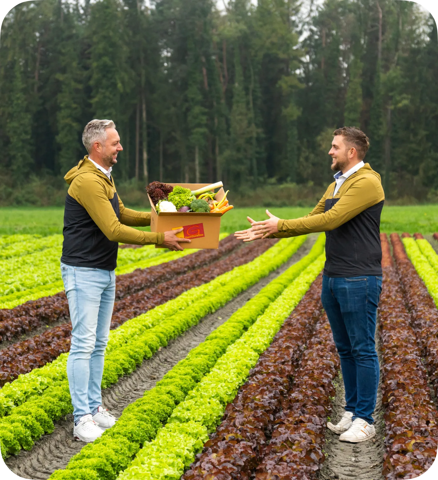 Frisches Obst und Gemüse für Unternehmen