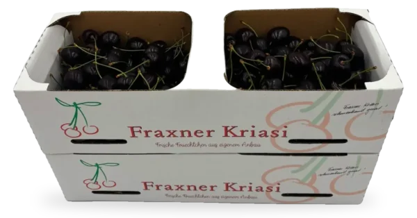 Kirschen